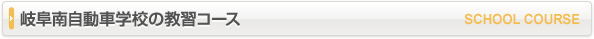 岐阜南自動車学校の教習コース